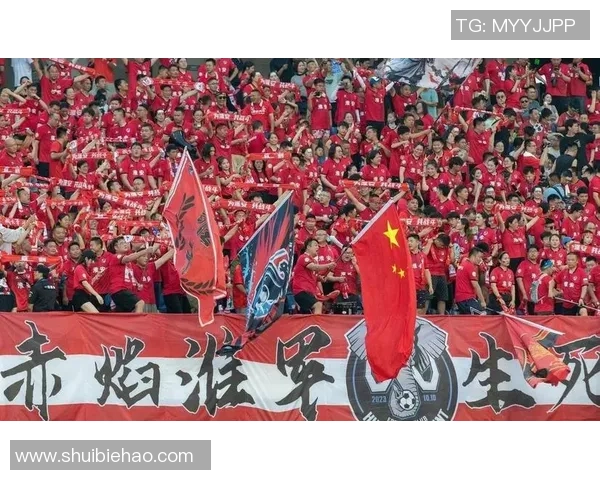 “苏超”赛事魅力的背面：源自足球青训的坚持 引发对足球后备人才培养的考虑